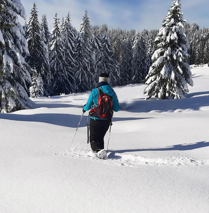 Bel appartement avec vue exceptionnelle Le Grand-Bornand